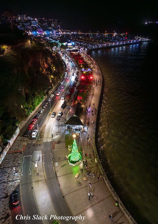 Brixham and Torbay From Above 96