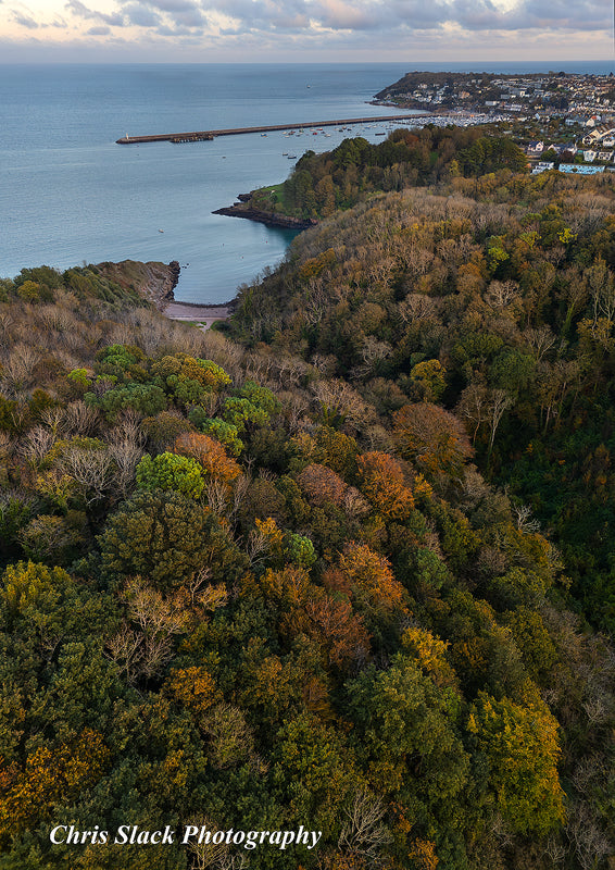 Brixham and Torbay From Above 90