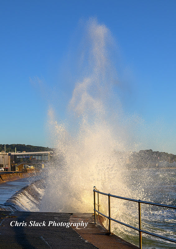 Paignton 44