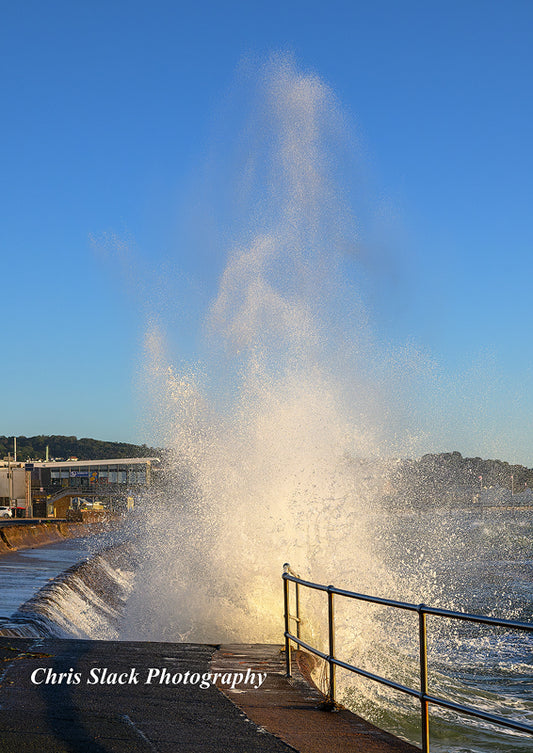Paignton 44