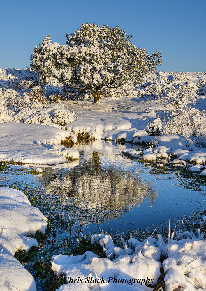 Dartmoor 36