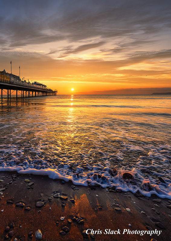 Paignton 41