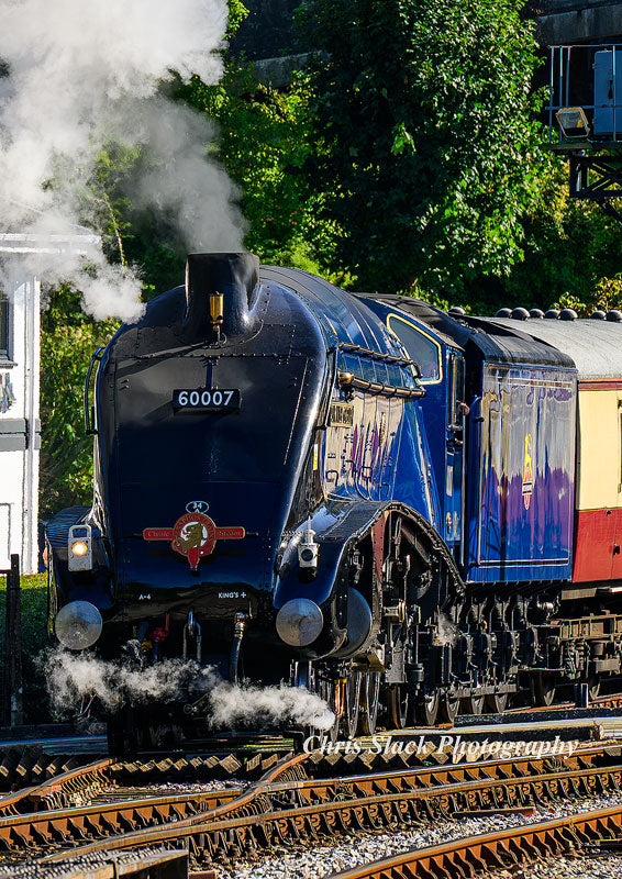 Steam 38