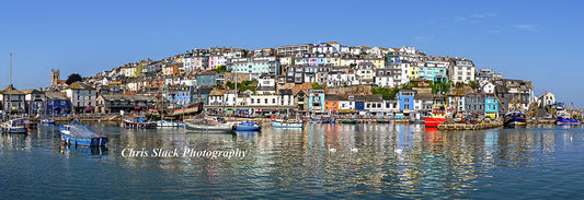 Panoramic 65