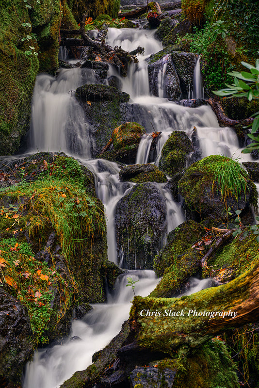 Dartmoor 38