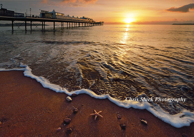 Paignton 40