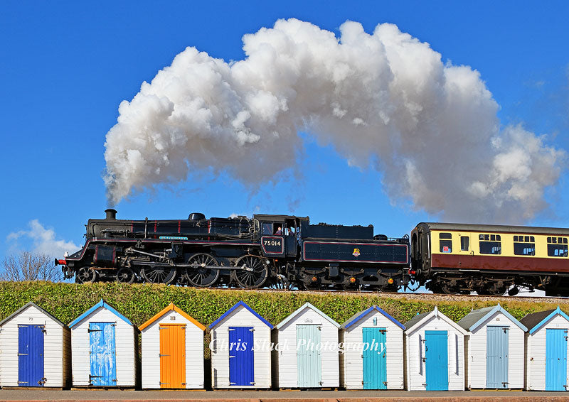 Steam 33
